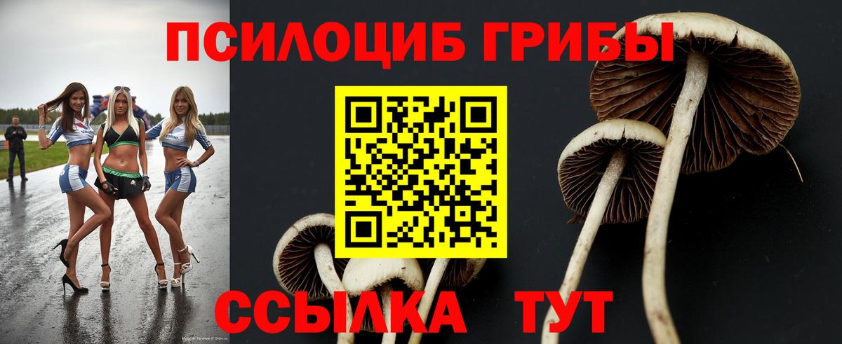 Минусинск  Псилоцибиновые грибы мицелий  Вход с VPN 