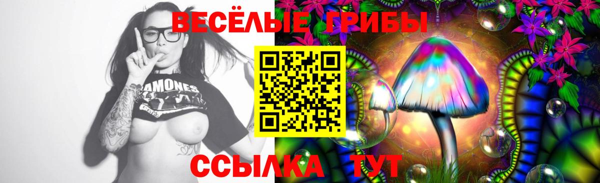 Псилоцибиновые грибы Минусинск